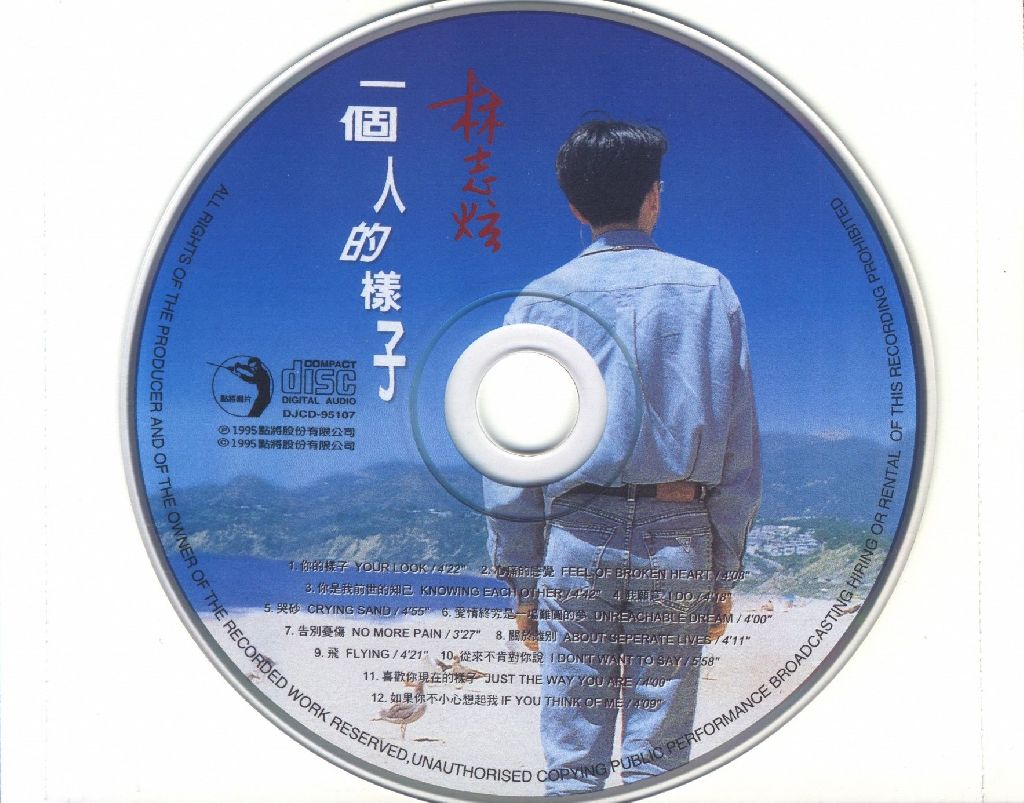 一个人的样子