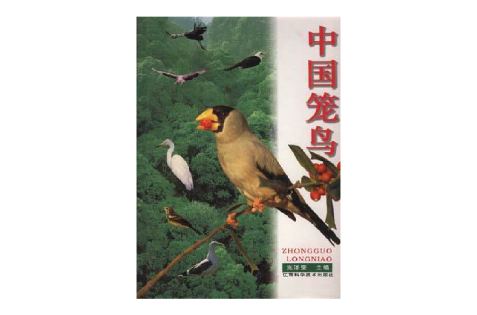 中国笼鸟