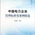 中国电力企业管理标準化案例精选