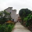 中村乡(湖南炎陵县中村乡)