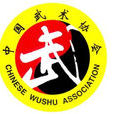 中国武术