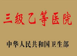 三级乙等医院 三级乙等医院
