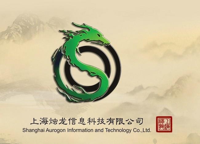 上海烛龙信息科技有限公司