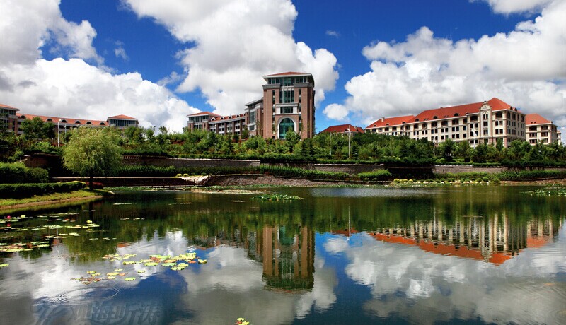 中国大学