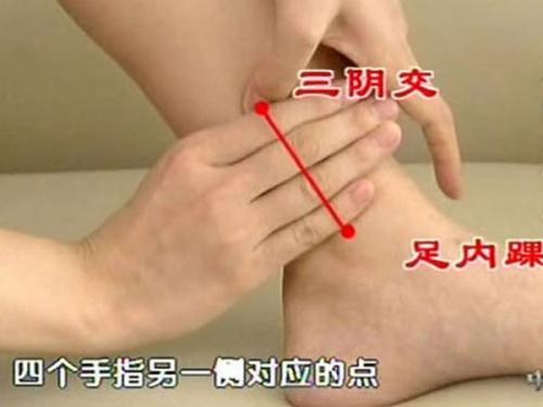 足内踝上缘,四横指处。 足内踝上缘,四横指处。