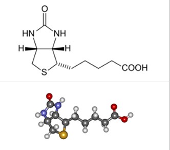 维生素H分子式 维生素H分子式