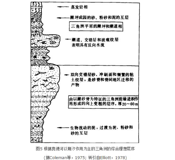 三角洲沉积体系结构 三角洲沉积体系结构