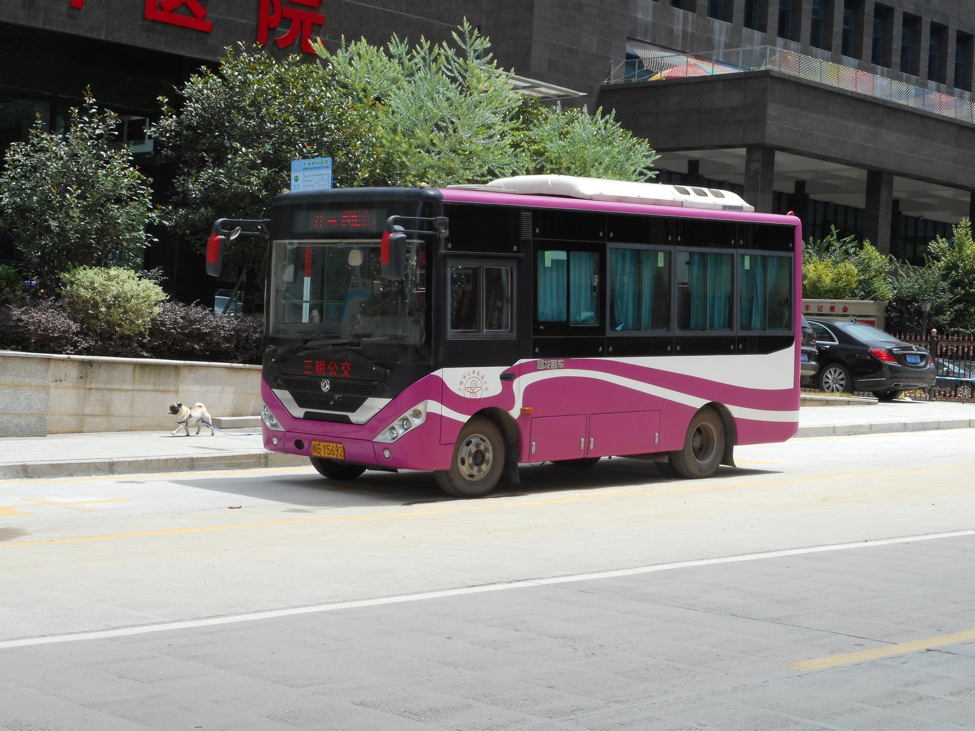 71路 71路