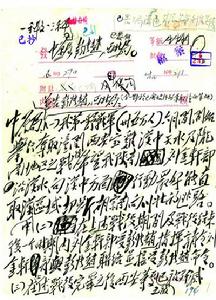 国内和平协定最后修正案 国内和平协定最后修正案