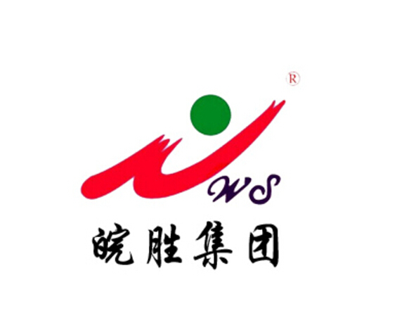 上海皖胜仓储设备有限公司