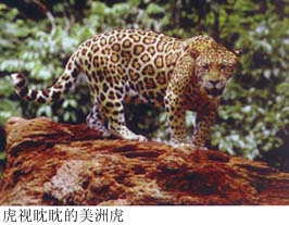 中美洲地峡 中美洲地峡