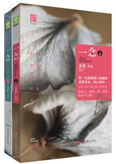一念(现代都市小说)
