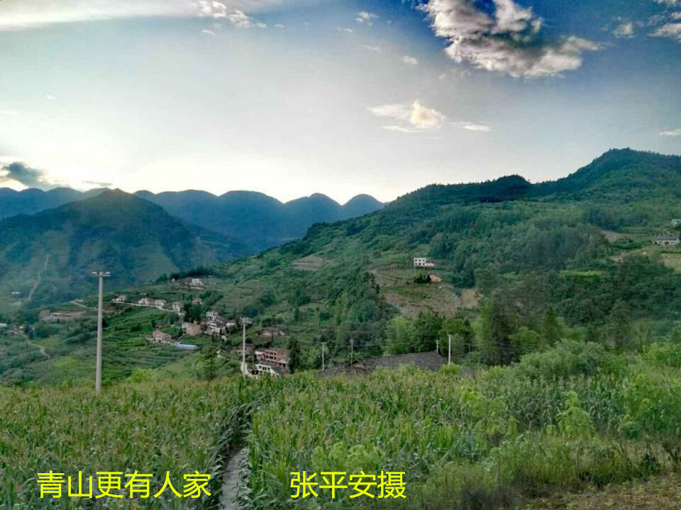 上庄村 上庄村