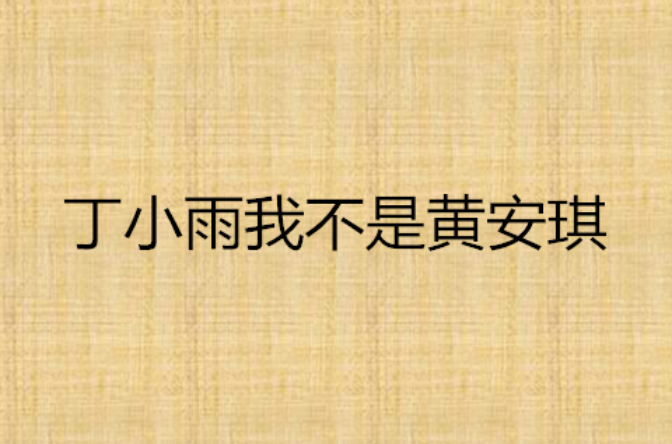 丁小雨我不是黄安琪