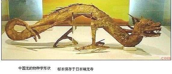 中国龙文化 中国龙文化