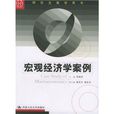 总量经济学案例