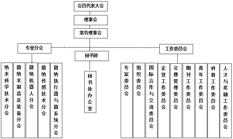 中国微米纳米技术学会 中国微米纳米技术学会
