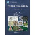 中国海洋物种和图集：中国海洋生物图集2