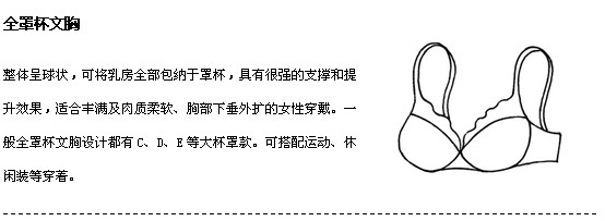罩杯