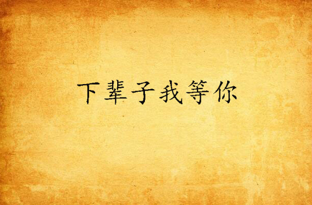下辈子我等你