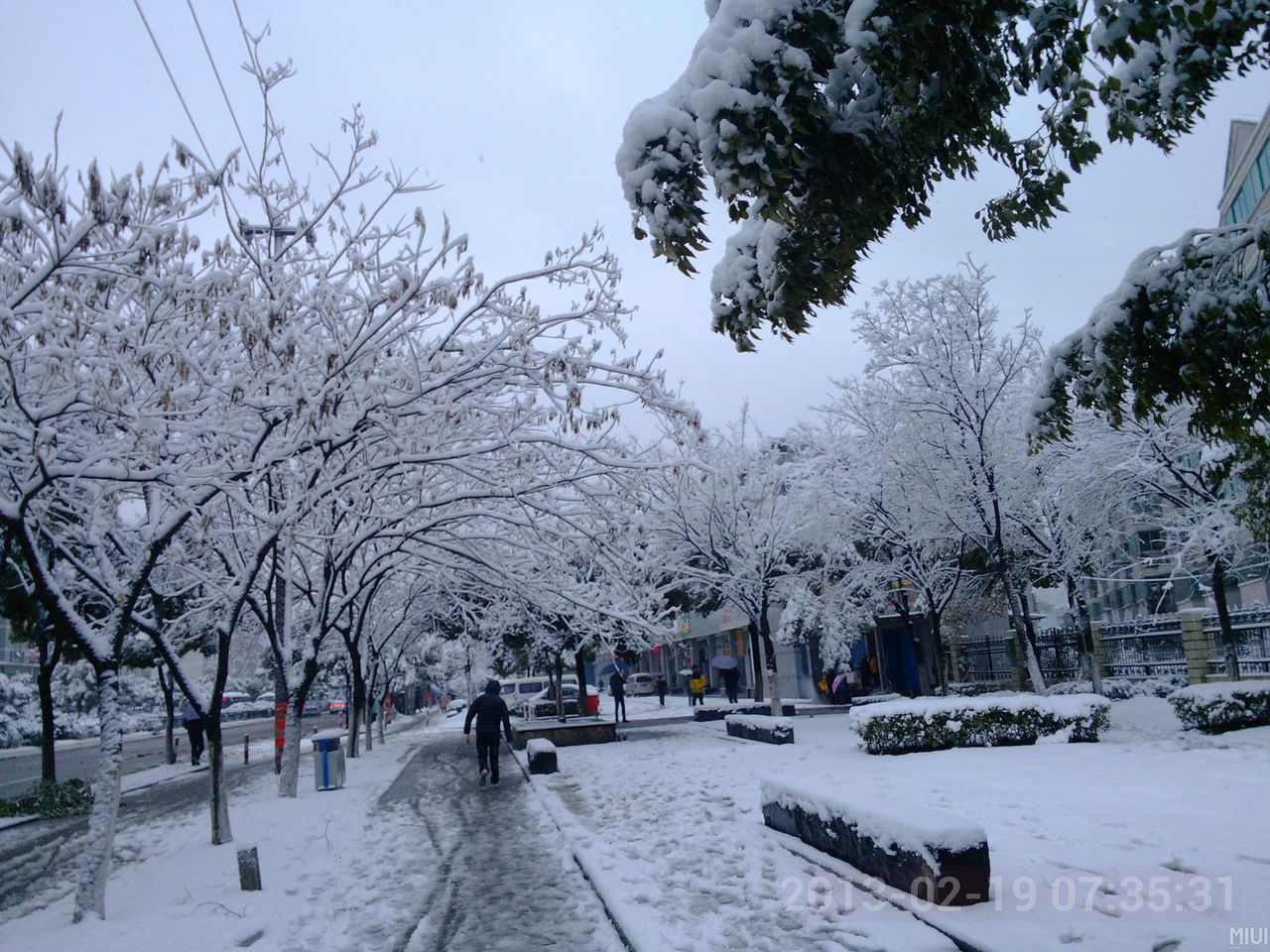 下雪(自然现象)