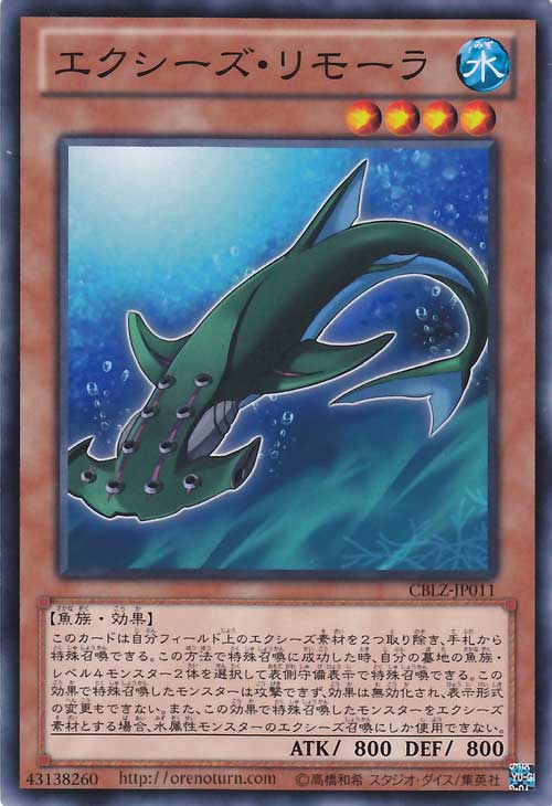 XYZ印鲨 XYZ印鲨