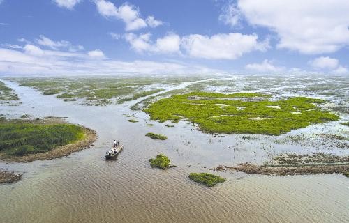 湿地与淡水保护 湿地与淡水保护