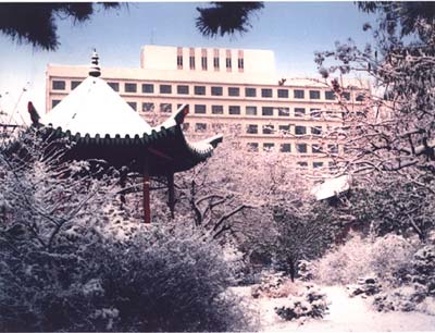 中国医科大学旧校园冬景 中国医科大学旧校园冬景