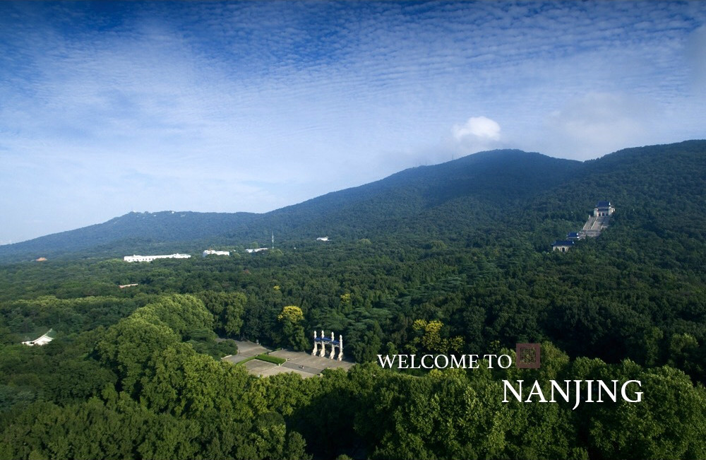 中山陵 中山陵