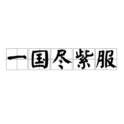 一国尽紫服