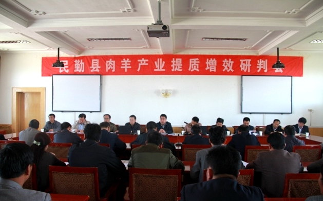 中国肉羊之乡 中国肉羊之乡