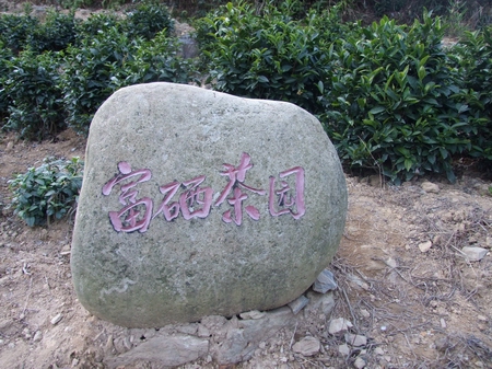 中国富硒第一村 中国富硒第一村
