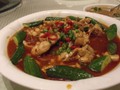 红洄鱼