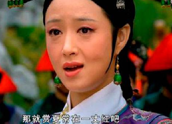 一丈红(《后宫·甄嬛传》中的刑罚名称)