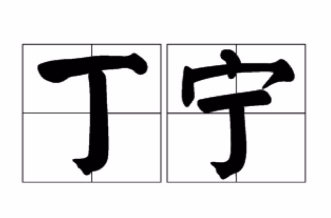 丁宁(汉语词语)