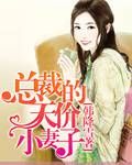 总裁的天价小妻子 总裁的天价小妻子