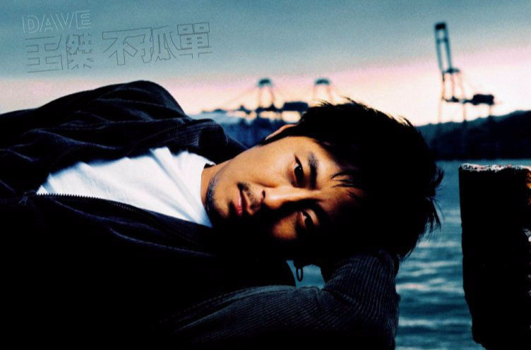 不孤单(2004年发行王杰第24张国语专辑)