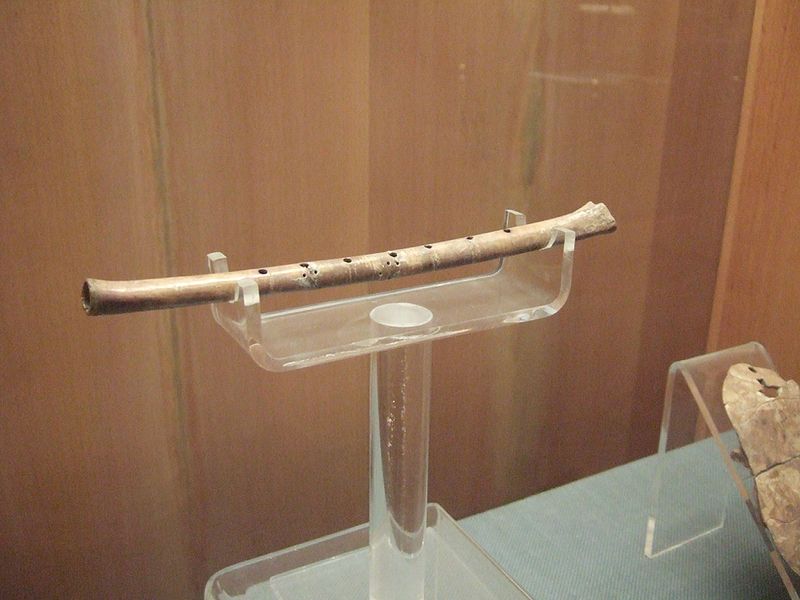 舞阳县出土的7700年前骨笛 誉为中华第一笛 舞阳县出土的7700年前骨笛 誉为中华第一笛