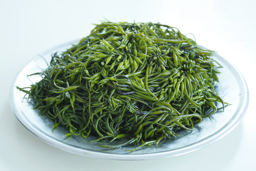 羊栖菜 羊栖菜