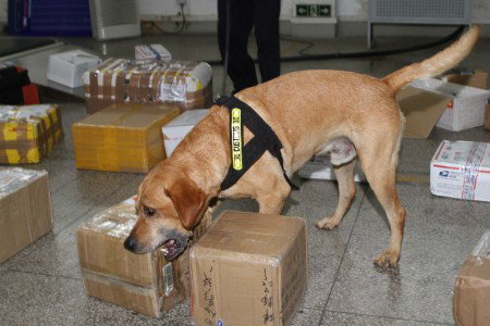 缉毒犬缉毒现场图片 缉毒犬缉毒现场图片