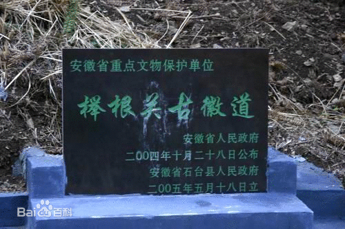 中国富硒第一村 中国富硒第一村