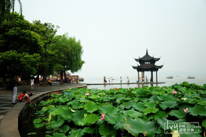 西湖 西湖