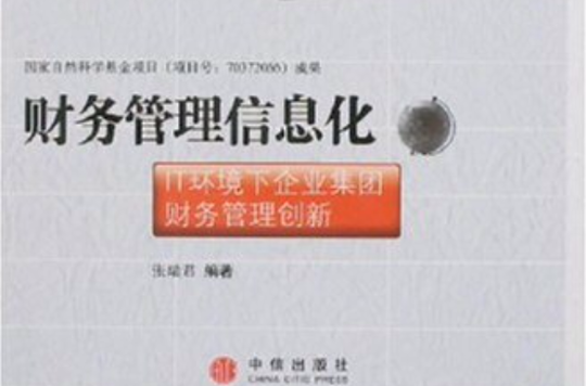 中国总会计师培训系列教材·财务管理信息化