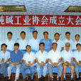 中国纯硷工业协会
