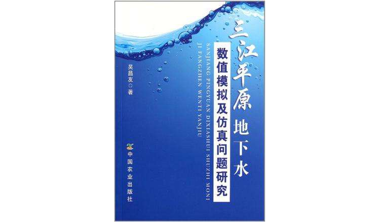 三江平原地下水数值模拟及仿真问题研究
