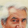 丹尼尔·盖林