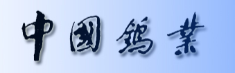 中国钨业 中国钨业