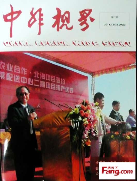 中非视界