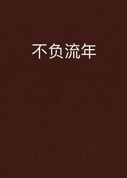 不负流年(网路小说)