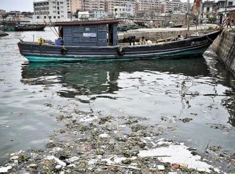 练江出海口 练江出海口